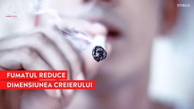 Fumatul zilnic micsoreaza creierul