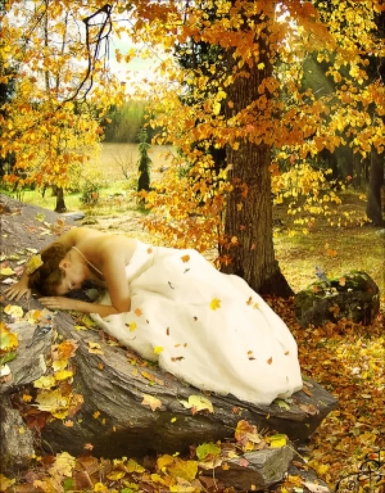 Horoscop:  Saptamana 11-17 Noiembrie 2013