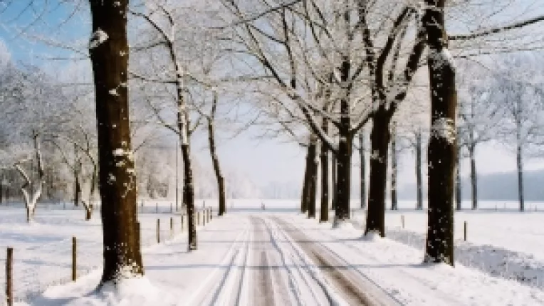 Horoscop: Saptamana 14-20 Ianuarie 2013