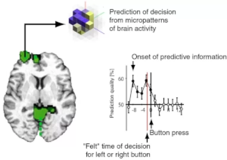 Iluzia liberului arbitru (5)