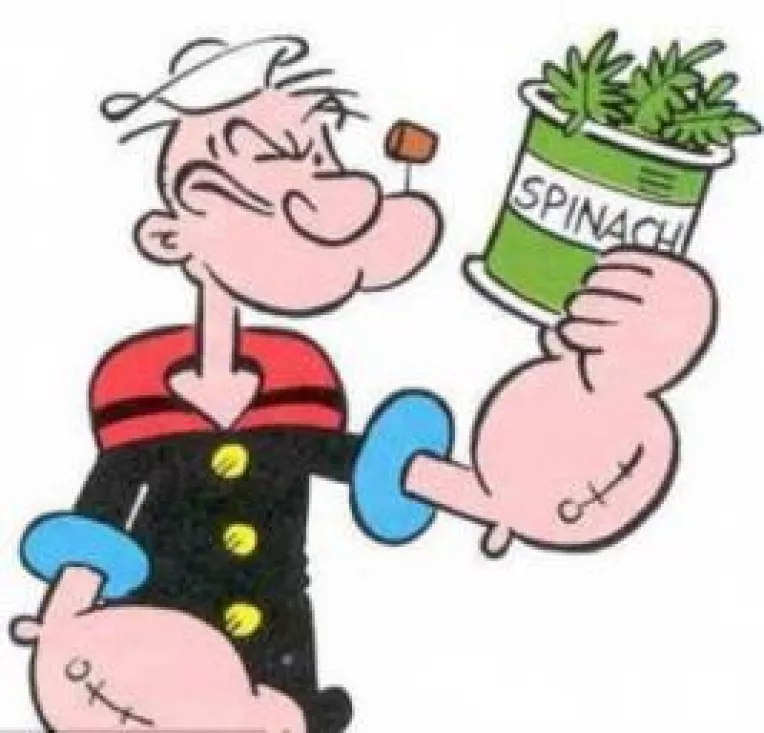 Popeye Marinarul ne-a pacalit: Cantitatea de fier din spanac e de 10 ori mai mica