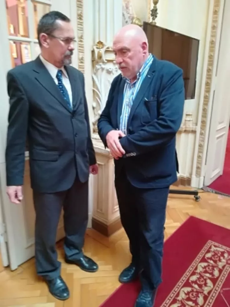 Profesorul Ion-Cristian Chiricuta: Voi licita pentru obiectele Doinei Cornea, expuse la Artmark