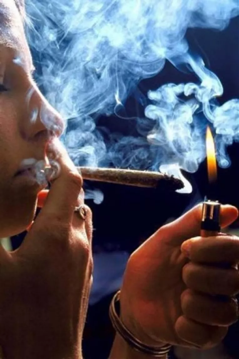 Visele din ierburi spulberate de Guvern.